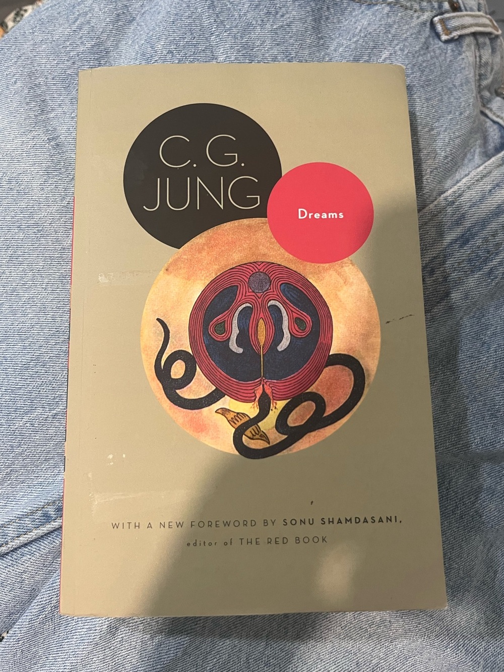 C.G. Jung Dreams book